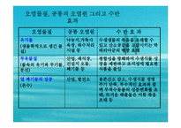 수질오염(하천오염, 용존산소, 부영양화, 해양오염, 유류오염, 지하수오염, 수질오염방지) PPT, 파워포인트-12