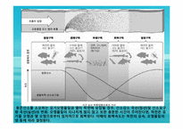 수질오염(하천오염, 용존산소, 부영양화, 해양오염, 유류오염, 지하수오염, 수질오염방지) PPT, 파워포인트-17