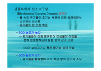 수질오염(하천오염, 용존산소, 부영양화, 해양오염, 유류오염, 지하수오염, 수질오염방지) PPT, 파워포인트-18