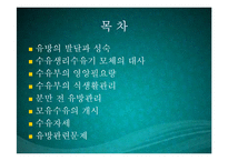 수유기영양(유방의발달과성숙, 수유생리수유기, 수유부영양, 수유부식생활관리, 모유수유, 수유자세, 유방관련문제) PPT, 파워포인트-2