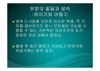 수유기영양(유방의발달과성숙, 수유생리수유기, 수유부영양, 수유부식생활관리, 모유수유, 수유자세, 유방관련문제) PPT, 파워포인트-20