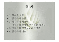 발효식품(젓갈류, 젓갈류분류, 젓갈류제조법, 젓갈숙성, 젓갈류영양성분, 젓갈류이용) 발표, PPT, 파워포인트-2