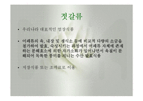 발효식품(젓갈류, 젓갈류분류, 젓갈류제조법, 젓갈숙성, 젓갈류영양성분, 젓갈류이용) 발표, PPT, 파워포인트-3