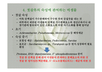 발효식품(젓갈류, 젓갈류분류, 젓갈류제조법, 젓갈숙성, 젓갈류영양성분, 젓갈류이용) 발표, PPT, 파워포인트-12