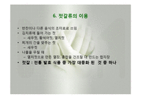 발효식품(젓갈류, 젓갈류분류, 젓갈류제조법, 젓갈숙성, 젓갈류영양성분, 젓갈류이용) 발표, PPT, 파워포인트-14