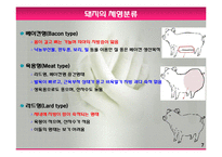 모돈의 사양관리와 실제(가축사양학, 돼지기르기, 양돈, 돼지의품종, 돼지의모든것, 양돈생산성)PPT, 파워포인트-7