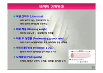모돈의 사양관리와 실제(가축사양학, 돼지기르기, 양돈, 돼지의품종, 돼지의모든것, 양돈생산성)PPT, 파워포인트-11