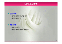모돈의 사양관리와 실제(가축사양학, 돼지기르기, 양돈, 돼지의품종, 돼지의모든것, 양돈생산성)PPT, 파워포인트-12