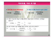 모돈의 사양관리와 실제(가축사양학, 돼지기르기, 양돈, 돼지의품종, 돼지의모든것, 양돈생산성)PPT, 파워포인트-14