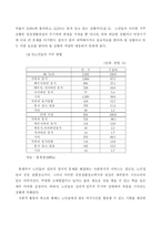 [사회복지]노인복지에 있어서 정보화의 역할-9