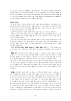 [종교와 인간]종교의 영향, 역할과 목적-4