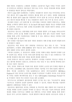 [마케팅전략]`애니콜` 마케팅 전략-8