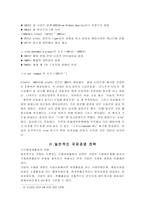 [국제경영]다국적 기업 나이키(NIKE)의 경영전략-3