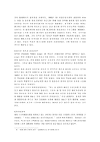 [국제경영]다국적 기업 나이키(NIKE)의 경영전략-8