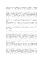 [브랜드마케팅]스포츠브랜드 진단조사 `나이키`-8