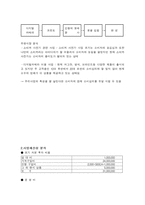 [사업계획서]캐릭터, 팬시사업(악세사리사업)-4