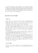 [사회복지]미국의 사회복지발달사-20