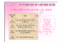 [마케팅]`Iceberry` 아이스베리를 통한 소규모 창업마케팅사례-10