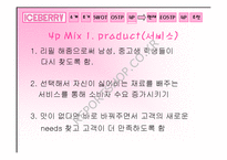[마케팅]`Iceberry` 아이스베리를 통한 소규모 창업마케팅사례-15