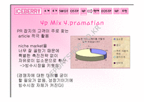 [마케팅]`Iceberry` 아이스베리를 통한 소규모 창업마케팅사례-18