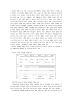 [노인복지]여성노인의 빈곤문제의 현황과 대책-10
