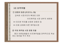 [의류산업] WHO.A.U로 다시태어난 ‘이랜드’ 마케팅전략-11