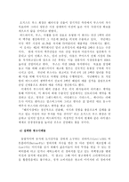 [국제마케팅]국제기업의 광고전략과 사례연구-13