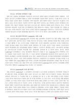 [리더쉽]CEO 안철수의 리더십의 문제점과 해결방안-14