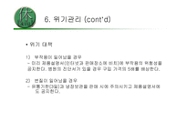 [사업계획서]천연팩 사업계획서-20