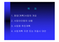 [사업계획서] 애완견 맞춤복 서비스 사업계획서-2