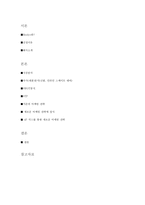 [마케팅분석]바퀴달린 운동화 Hellys(힐리스) 마케팅성공전략-2