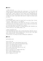 [마케팅분석]바퀴달린 운동화 Hellys(힐리스) 마케팅성공전략-4