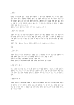 [마케팅분석]바퀴달린 운동화 Hellys(힐리스) 마케팅성공전략-7