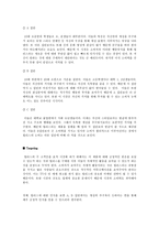 [마케팅분석]바퀴달린 운동화 Hellys(힐리스) 마케팅성공전략-9