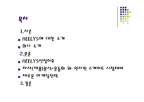 [신제품마케팅]신제품마케팅성공사례 - 힐리스 신발-2