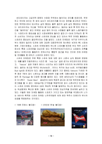 [마케팅분석]버드와이저 국제마케팅 전략-19
