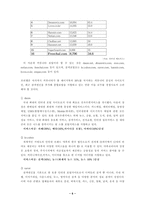 [기업경영]프리챌 경영전략 분석-6