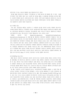[학사][전자상거래]인터넷 광고의 문제점과 대책 및 전망-12