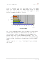 [학사][마케팅관리]가상브랜드 석류주 마케팅전략-10
