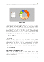 [학사][마케팅관리]가상브랜드 석류주 마케팅전략-11