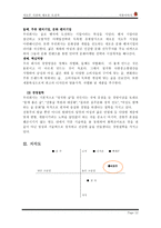 [학사][마케팅관리]가상브랜드 석류주 마케팅전략-12