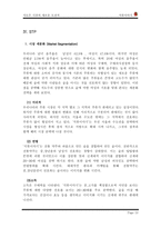 [학사][마케팅관리]가상브랜드 석류주 마케팅전략-13