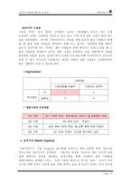 [학사][마케팅관리]가상브랜드 석류주 마케팅전략-14