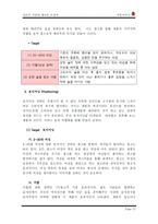 [학사][마케팅관리]가상브랜드 석류주 마케팅전략-15
