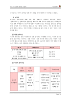 [학사][마케팅관리]가상브랜드 석류주 마케팅전략-16