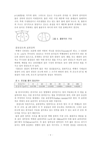 [졸업][화학]   물과 얼음 연구-12