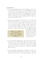 [졸업][화학공학]  자기장이 인체와 생명체에 미치는 영향-4