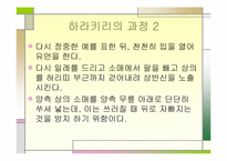 [일본 무사도]일본도 - 사무라이 무사도-20