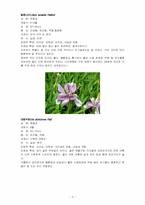 한국의 야생화 조사-3