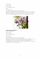 한국의 야생화 조사-6